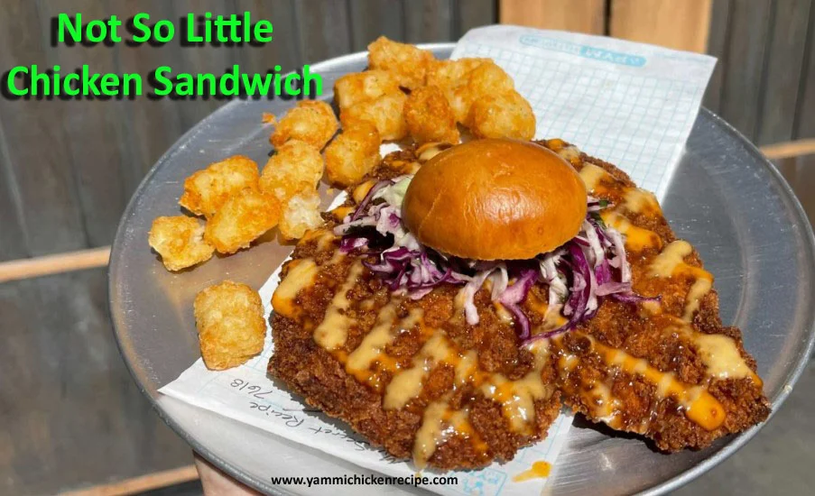 Not So Little Chicken Sandwich – Adventure on a Bun