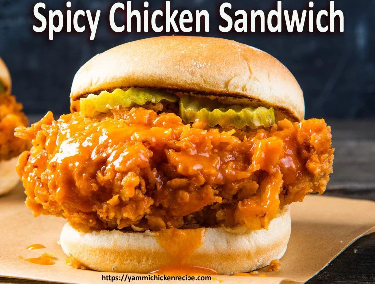 Spicy Chicken Sandwich: A Flavorful Feast