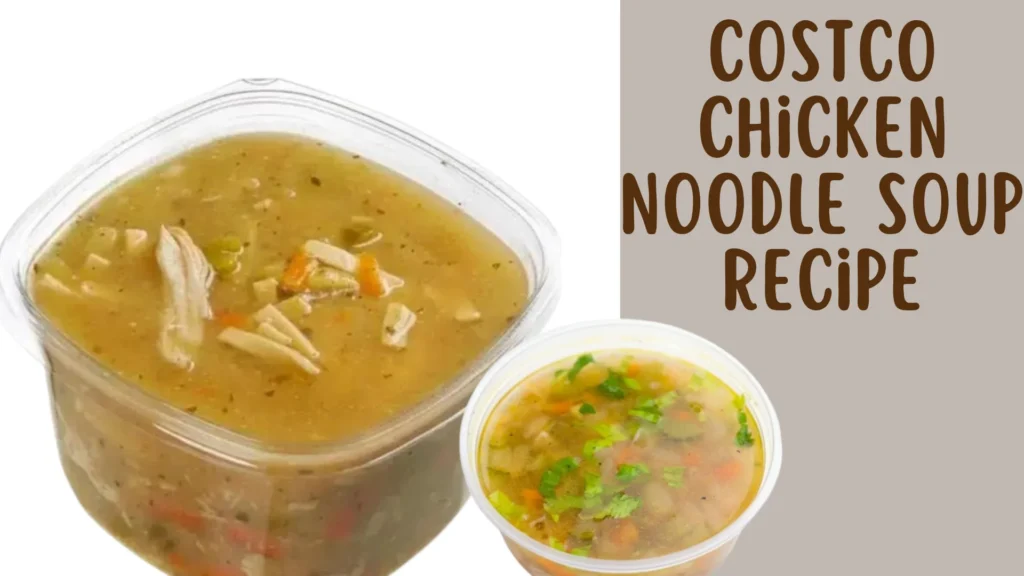 Costco Chicken Noodle Soup Recipe