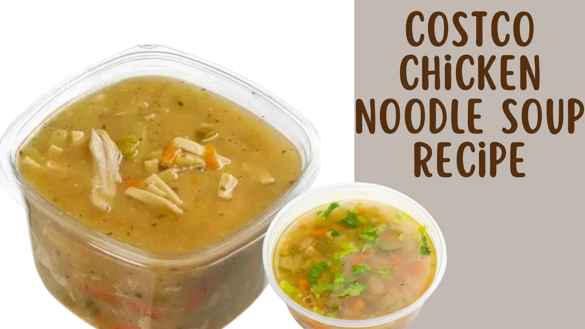 Costco Chicken Noodle Soup Recipe – Inspired