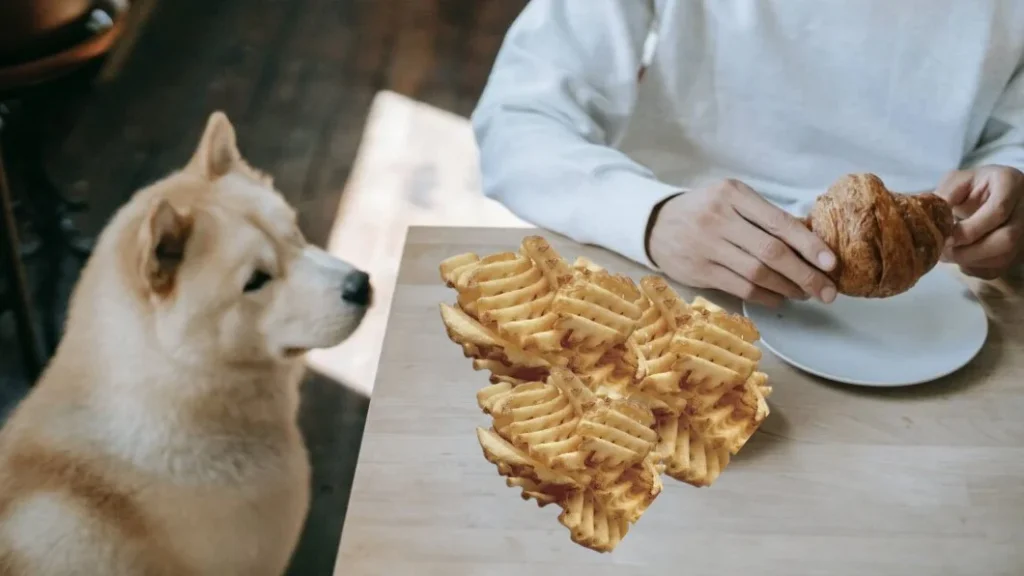 Can Dogs Eat Chick Fil A Fries