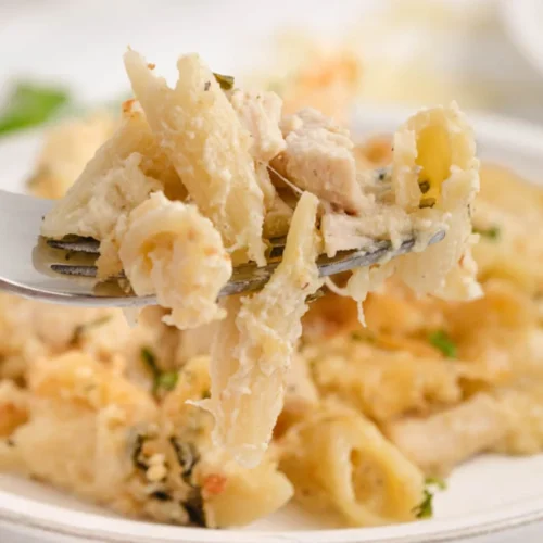 Alfredo Chicken Parmesan Recipe